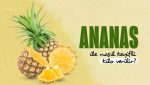Kilo verme sürecini keyifli hale getirecek meyve: Ananas